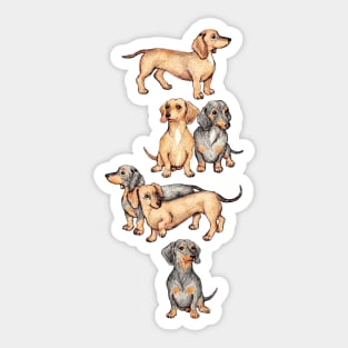 Adorable Dachshunds Sticker